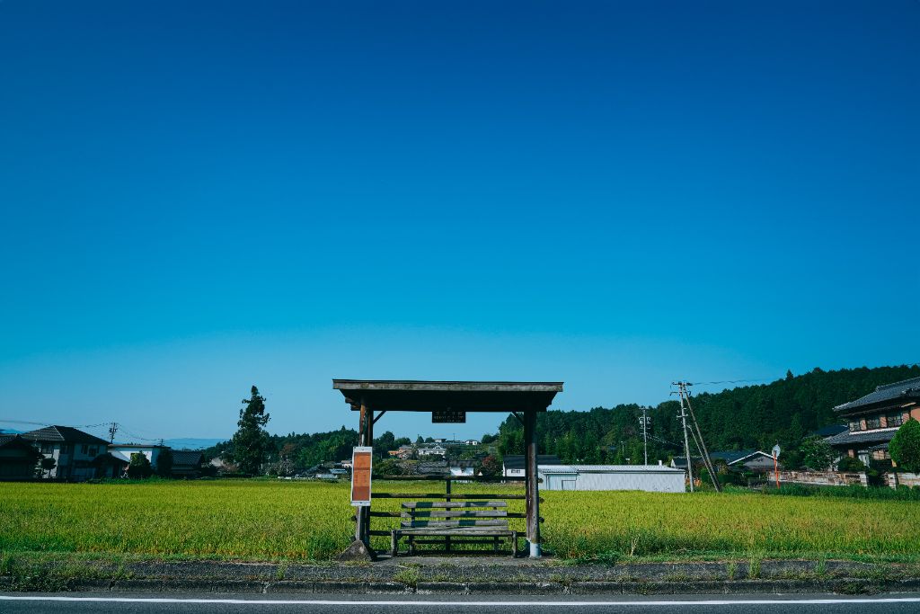 Rice fields and hills around a small town